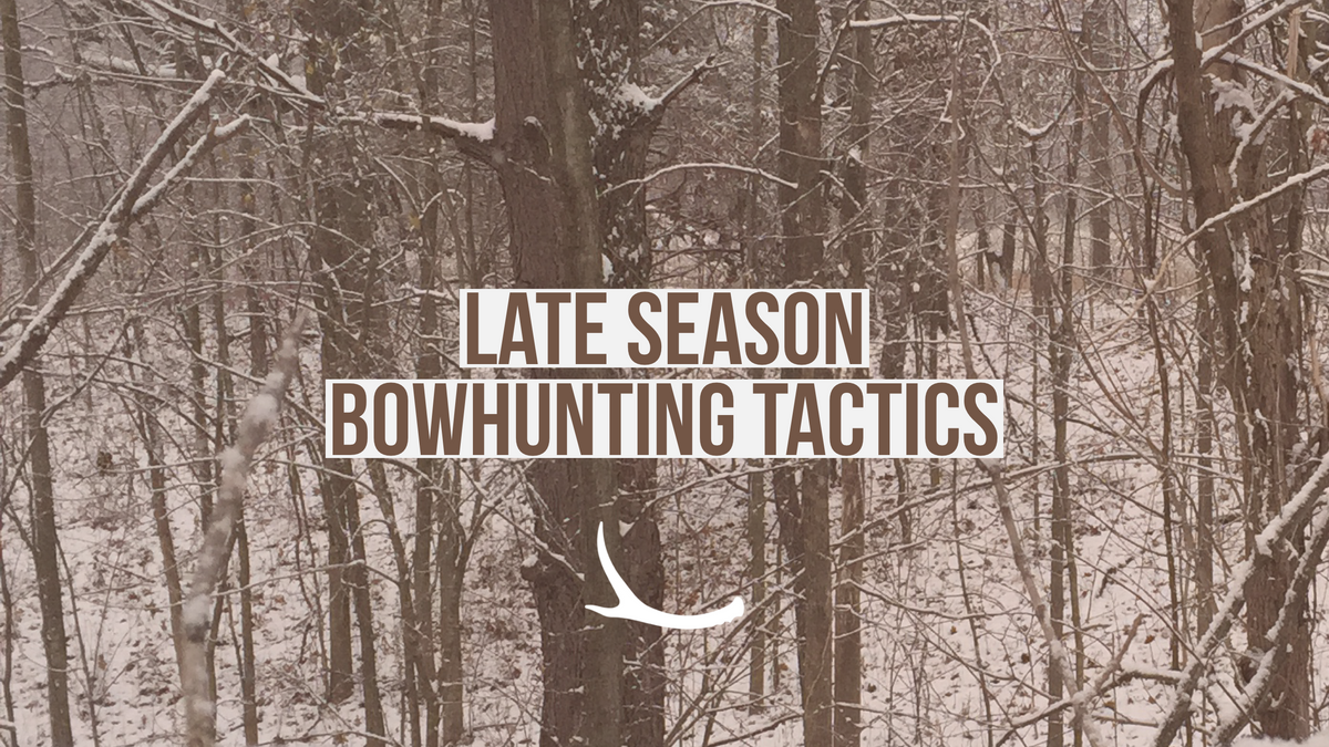 Late Season Bow Hunting Tips And Strategies | Avoid Tag Soup – The ...