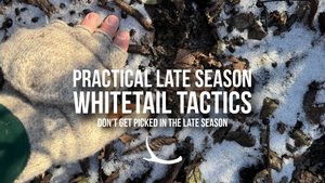 Late Season Whitetail Hunting Tactics 